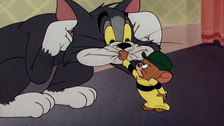 [Tom and Jerry] Tom: What happened?