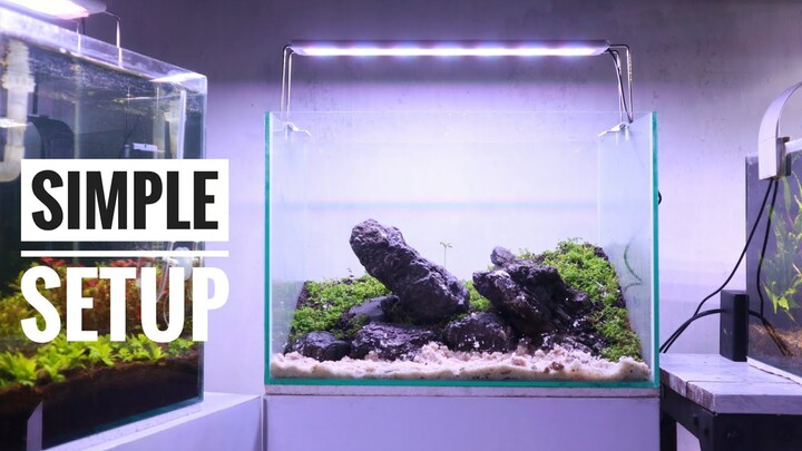 AMAZING‼ SIMPLE IWAGUMI AQUASCAPE | AQUSCAPE MINI IWAGUMI