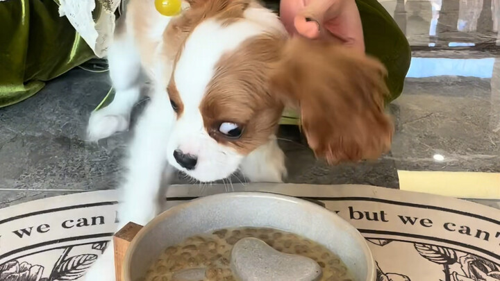 “Tanah suram pegunungan Ba dan sungai Chu, seorang lelaki tua terus mengoceh tentang aku”