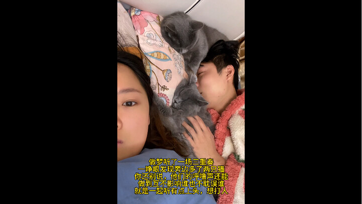 Who understands the feeling of being woken up by a snoring trio?