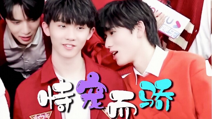 تربية بيبي شوان لا تخلو من دلال ما قه الذي لا يُحمل مسؤوليته.