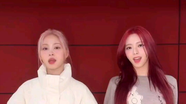 【申留真/申有娜】双申《Untouchable》变装舞蹈挑战