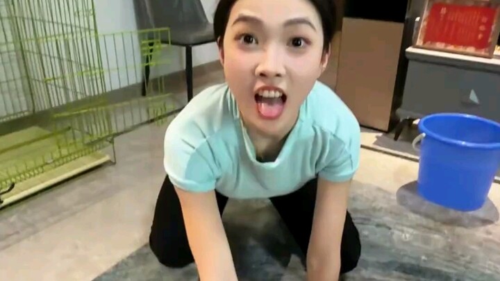 Nào nào nào, con chó này để bạn nuôi đi
