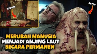 PSIKOPAT YANG BERJIWA SENI - ALUR CERITA FILM TUSK (2014)