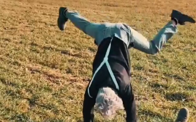 Authentic Kun Quan in Real Combat