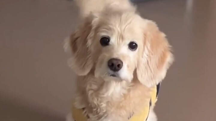 في وقت لاحق فقط اكتشفت أنه ربما أصبح بالفعل جزءًا من الأسرة...