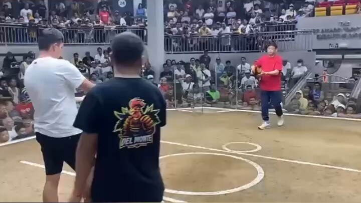 Firebird Angels Super White ! Del Monte C🐔ckpit Arena 5 C 🐔ck Derby Feb 2026