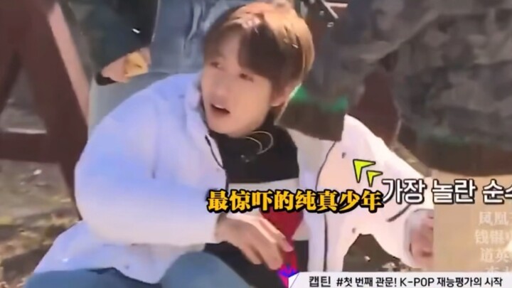 Huang Renjun: Apakah ada asosiasi perlindungan Omega? Aku mau melaporkan…