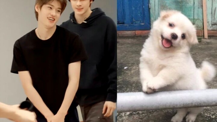【โซฮี】ไอพวกค้าหมาบ้า นั่นมันเพิ่งเรียกฉันว่าแม่ใช่มั้ย