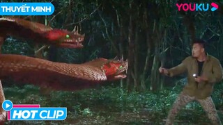 [HOTCLIP] Rắn Chín Đầu Hồi Sinh | Rắn Chín Đầu Đột Biến | Phim Lẻ YOUKU