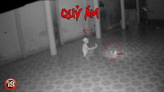 Bị QUỶ DỮ Theo Ám Khi Mở Phong Ấn Tại Chùa Hoang | Phim Ma - Roma Vlogs