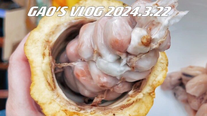 Homemade Chocolate 2.0! Almost sent me to an early grave!