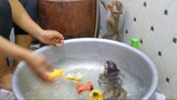Routine Bathing For Little Toto & Yaya Keep Them Healthy and Refreshing