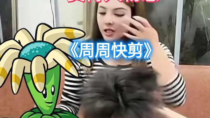 Chân dung nhân vật mạng kỳ 35: Zhou Zhou – Bản cắt nhanh