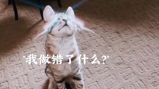 猝不及防的反转，都是意想不到的结局