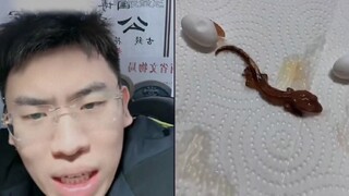 Kehidupan baru lahir di studio langsung Brother Quan