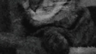 ในความมืด