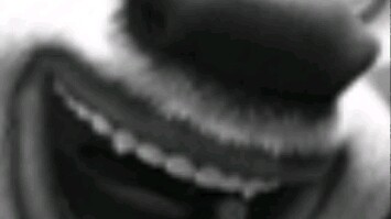 شيو دا: أنت غبي