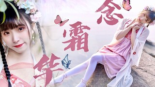 【甜樱】冬日里的蝴蝶仙子，翩翩起舞~✿念霜华✿