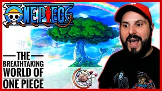 Ok, I Think I'm Convinced! The Breathtaking World of ONE PIECE Reaction