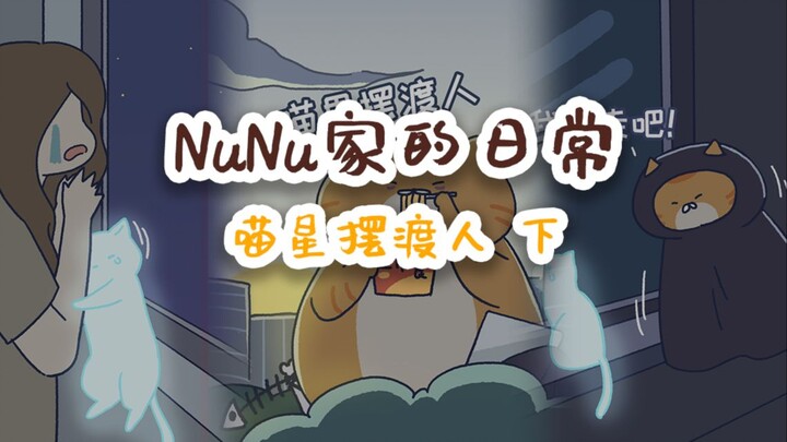 NuNu family’s daily cat ferryman