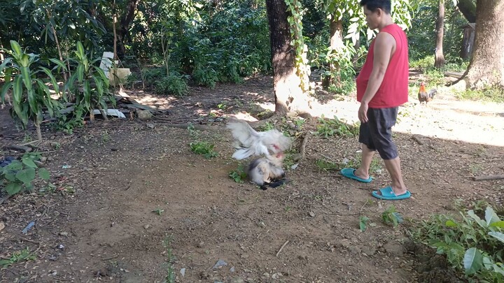 Sunday spar kanawayon hatch