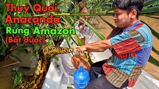 Truy Bắt Thuỷ Quái Rừng Amazon (tập 2)