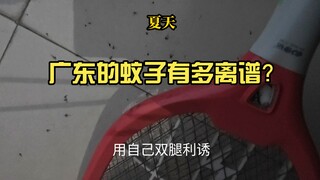 让大家看看到了夏天，广东的蚊子为了一口吃的有多离谱