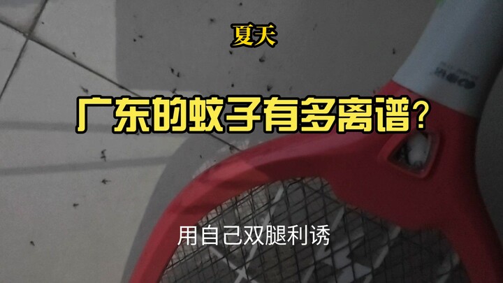 让大家看看到了夏天，广东的蚊子为了一口吃的有多离谱