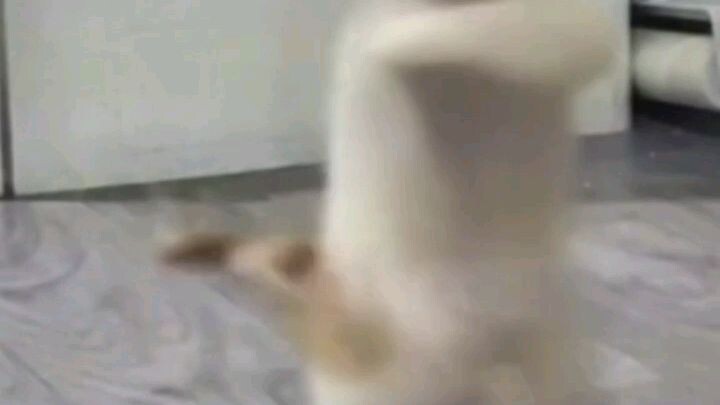 ll