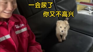 狗“你咋叫的这么吓人，教教我呗~”