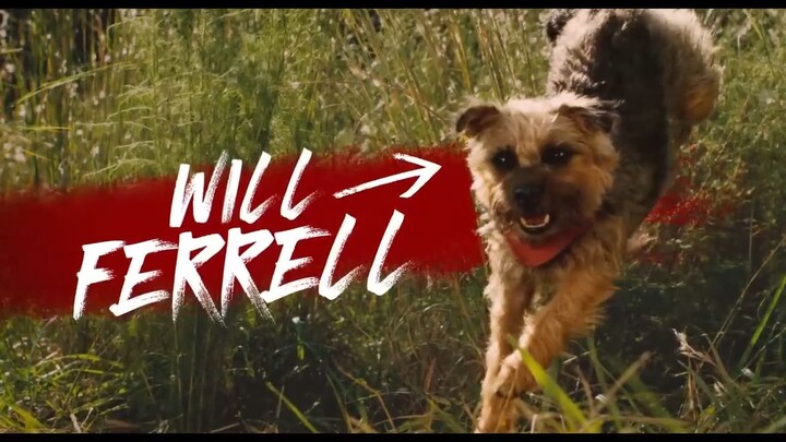 Strays _ Watch Full Movie: Link in description