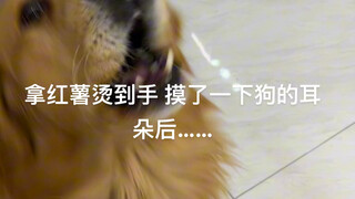 Don't you have ears?