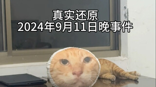 May there be no malicious stray cats or rumors in the world.