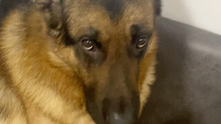 Có phải tôi sắp phải chuẩn bị chuyển nhà rồi không…