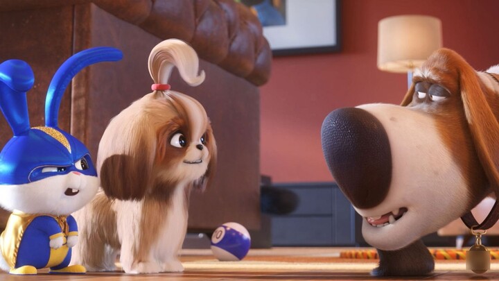 The Secret Life of Pets 2 official trailer @柚子木字幕组