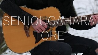 (Bakemonogatari OST) Senjougahara Tore - Fingerstyle Guitar Cover (with TABS)