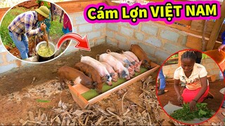 (Tập 89) Chăn Nuôi ở Châu Phi | Người Dân Hoảng Hốt Khi Biết Cách Nấu Cám Cho Lợn Ăn Lại Dễ Như Này?