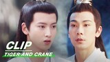 The Truth of Dianfeng Valley | Tiger and Crane EP34 | 虎鹤妖师录 | iQIYI