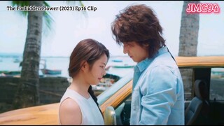 The Forbidden Flower (2023) Episode 16 Clip CDrama Jerry Yan ❤️ Xu Ruo Han