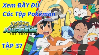 POKEMON JOURNEYS |Tập 37: Tớ quay lại rồi, xin chào Alola! | tvBlue KIDS | Lồng Tiếng Việt