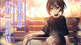 【催泪】如果寿命只有一周会发生什么  全力回避！flag酱！