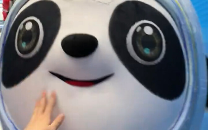 What does it feel like to touch Bing Dwen Dwen?
