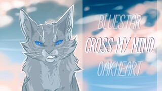 「WARRIORS」Bluestar & Oakheart | Cross My Mind - PMV