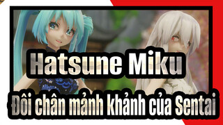 [Hatsune Miku/MMD/2K/60fps] Đôi chân mảnh khảnh của Sentai