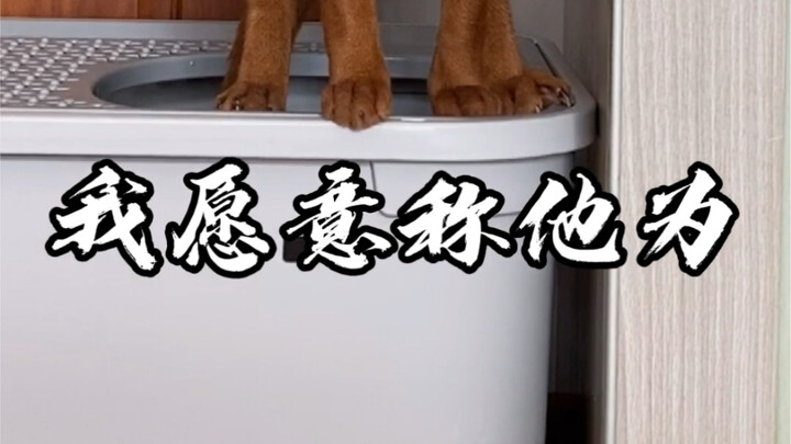 I'd call him the strongest on poop!