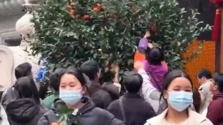 Tourists, please mind your manners… In Guangzhou, Guangdong, a netizen reported that two ornamental 