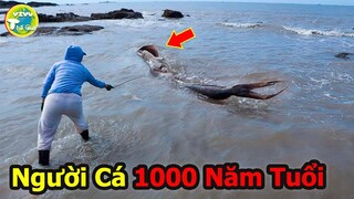 10 Thứ Kỳ Lạ Và Đáng Sợ Trôi Dạt Vào Bờ Biển Mà Con Người Từng Tìm Thấy |Vivu Thế Giới