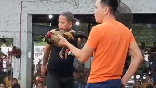 Filipino Warrior Hiraw Lines nanalo nanaman magaling nanibat
