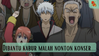 Gintama - Dibantu Kabur Malah Nonton Konser.....